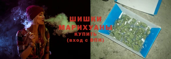 стафф Россошь