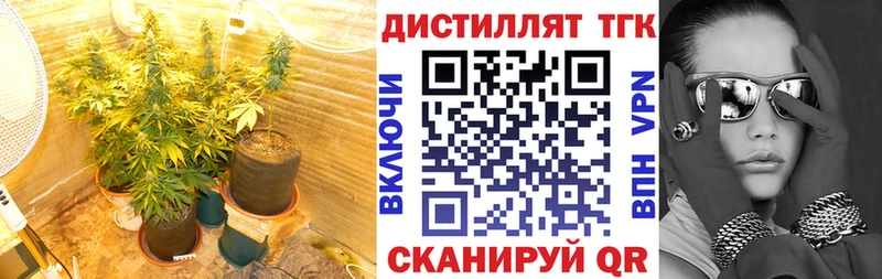 где купить Оха ТГК вейп