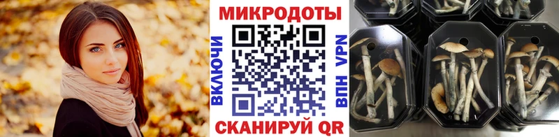 Галлюциногенные грибы прущие грибы  Оха 